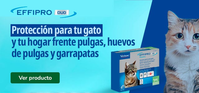 Effipro Duo: Productos antiparasitario para gatos.