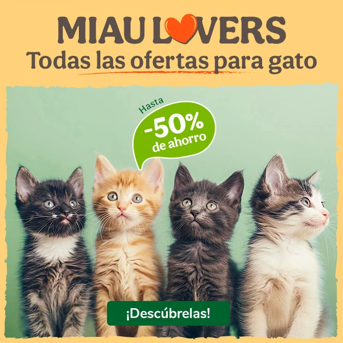 Miau Lovers: Todas las ofertas para gatos con descuentos exclusivos.