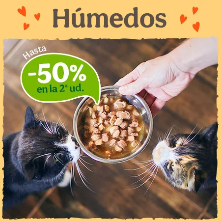 Comida húmeda para gatos: Hasta 50% de descuento en la segunda unidad de packs.