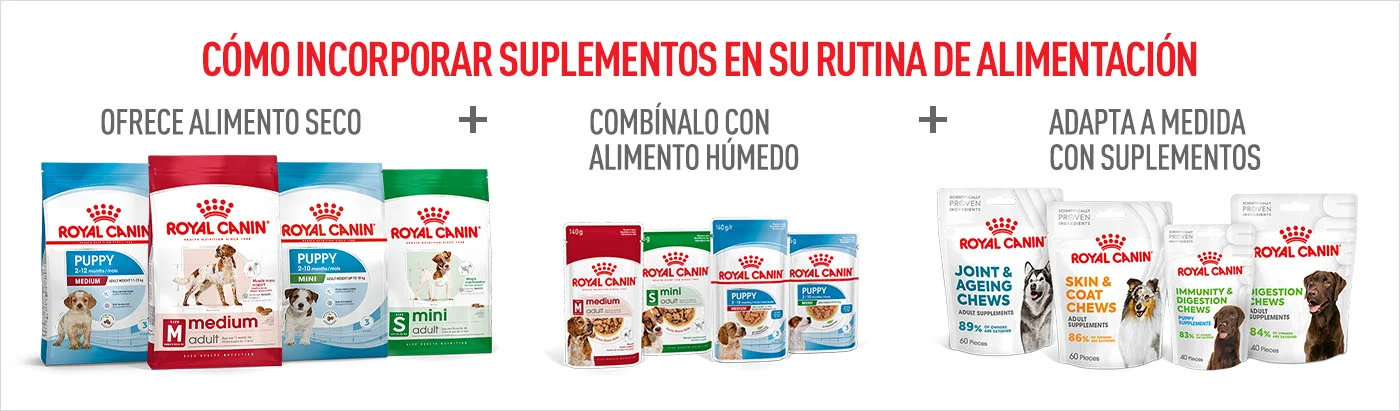 ¿Cómo incorporar los suplementos en su rutina diaria? Ofrece alimento seco + alimento húmedo y  adapta a medida con suplementos