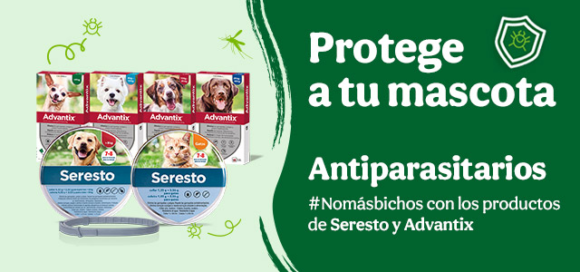 Protege a tu mascota con antiparasitarios