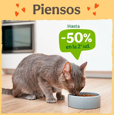 Piensos para Gatos: Hasta 50% dto en la 2ª unidad de piensos para tu gato.