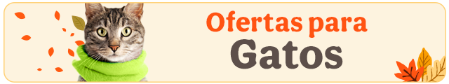 Todas las ofertas gato