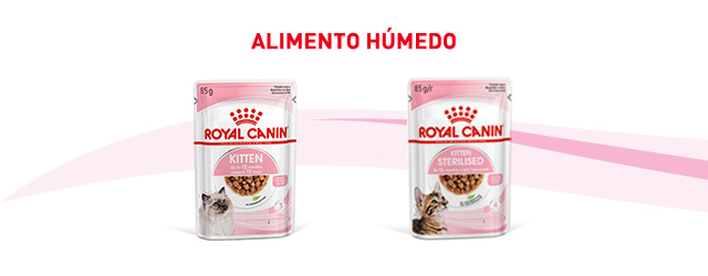 Royal Canin gatito.  Encuentra la comida húmeda que mejor se adapta para tu gatito