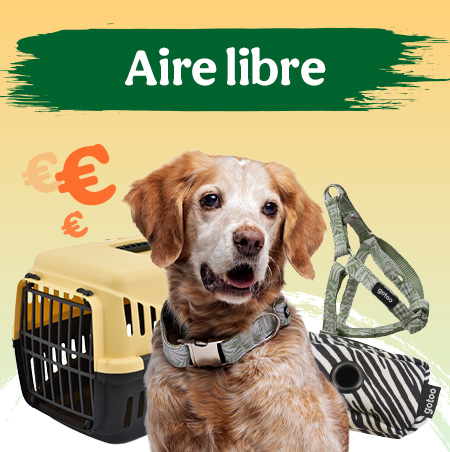 Accesorios de viaje para perros.