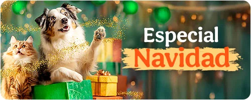 Especial Navidad