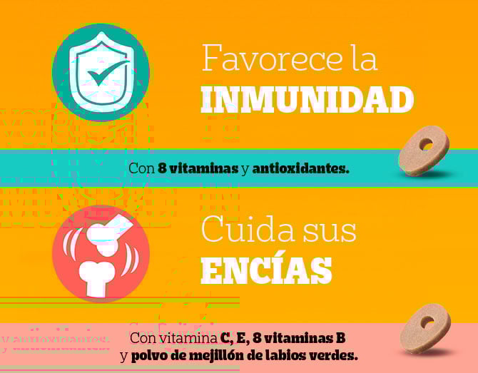 Favorece la inmunidad y cuida sus encías