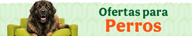 Todas las ofertas perro