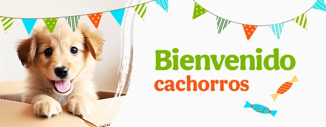 Bienvenidos cachorritos