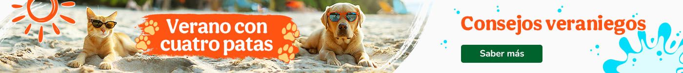 Consejos para pasar el mejor verano con tu peludo.