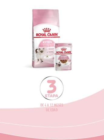 Royal Canin Gatito