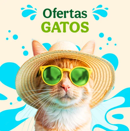 Ofertas Gato