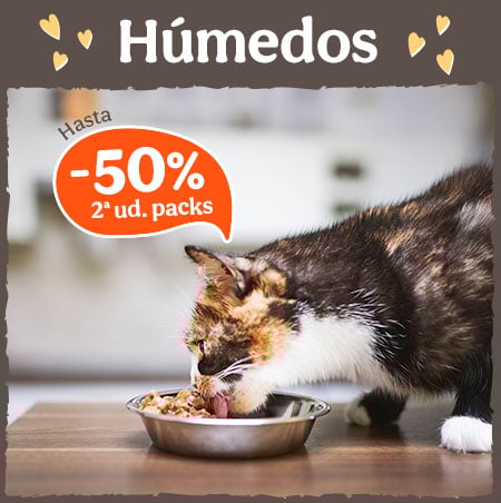 Hasta 50% dto en la 2º ud en packs de comida húmeda.