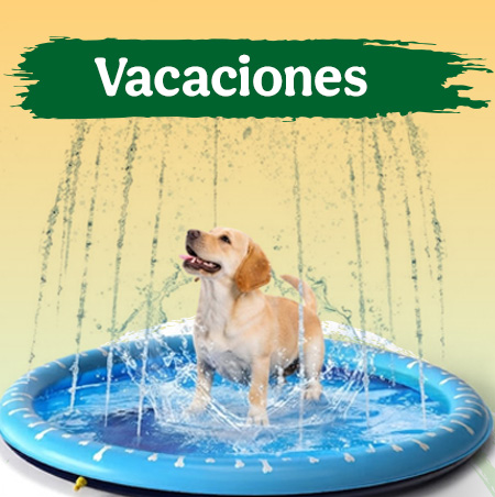 Productos vacacionales para perros.