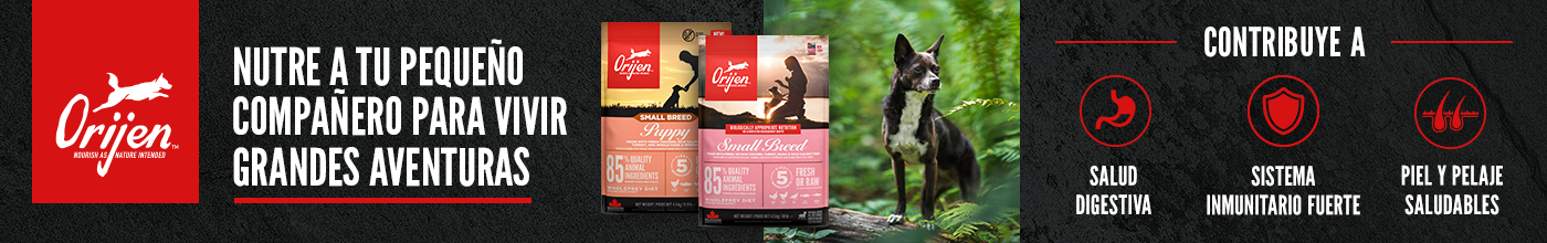 Orijen razas pequeñas. Nutre a tu pequeño compañero para vivir grandes aventuras.