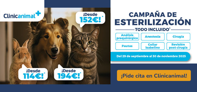 Campaña de esterilización Clinicanimal.