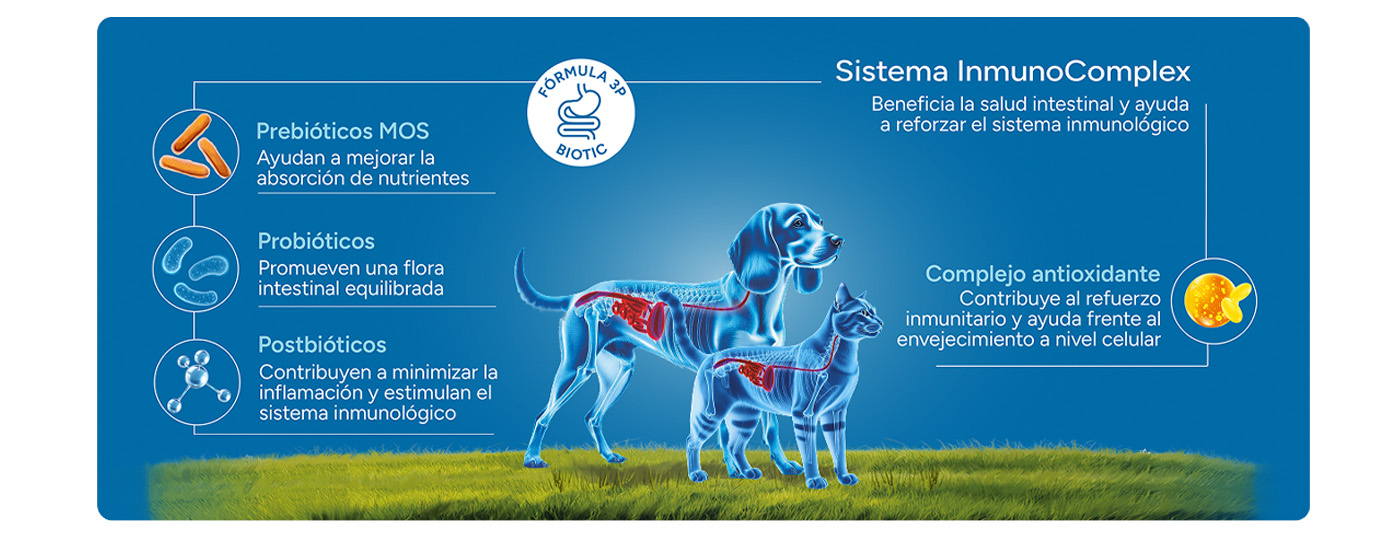 Sistema Inmunocomplex compuesto por la fórmula 3P BIOTIC y el Complejo Antioxidante de origen natural.