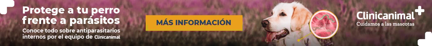 La mejor desparasitación interna para tu mascota