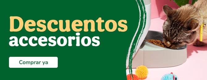 Ofertas, accesorios y juguetes para gato