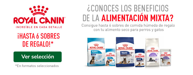 Hasta 6 uds de comida húmeda con la compra de pienso Royal Canin