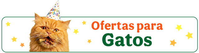 Todas las ofertas gato