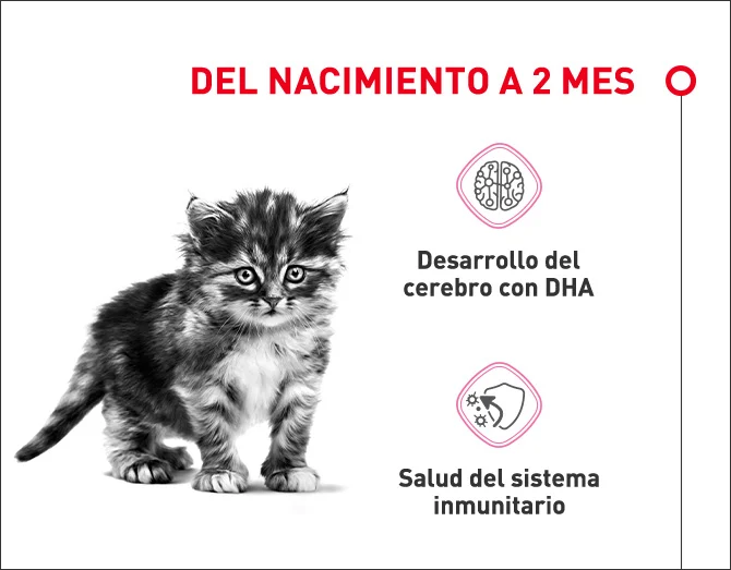 Desde el nacimiento hasta los dos meses