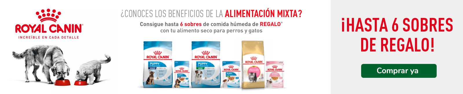 Hasta 8 uds de cómida húmeda con la compra de pienso mixto Royal Canin