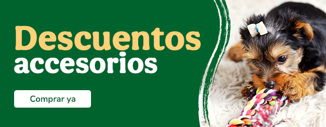 Todas las ofertas para tu cachorrito