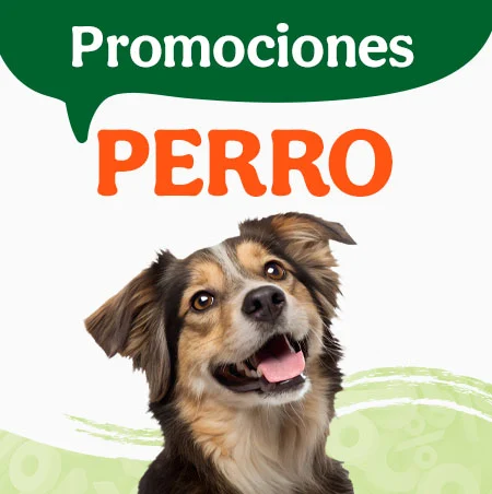 Ofertas perro.