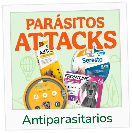 ¡No mas bichitos! antiparasitarios para proteger a tu peludo