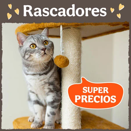 Rascadores con superprecios.