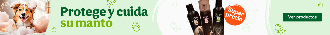 Protege su manto con súper precios.