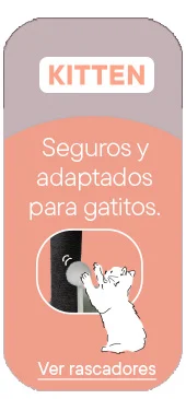 Leeby Kitten: Rascadores seguros y adaptados.