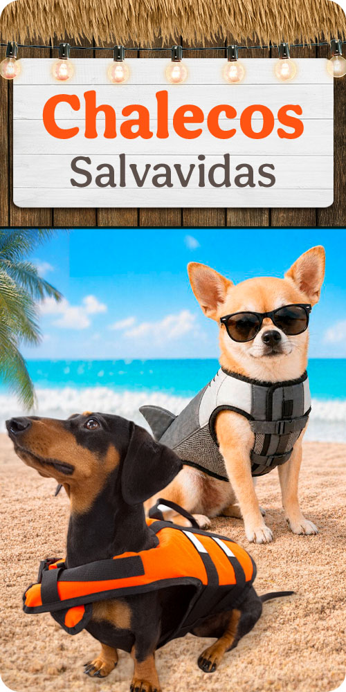 Chalecos Salvavidas