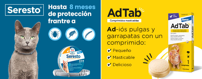 Adtab y Seresto para gatos: protección prolongada contra parásitos externos para gatos de todas las edades.