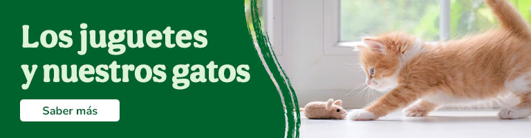 Juguetes y gatos. Todo lo que necesitas saber