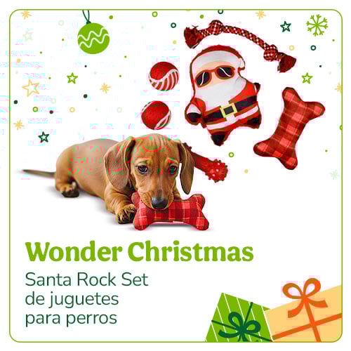 Santa Rock Set de juguetes para perros