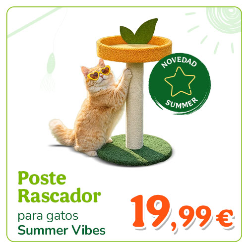 Summer Vibes Poste Rascador Fruta Naranja para gatos