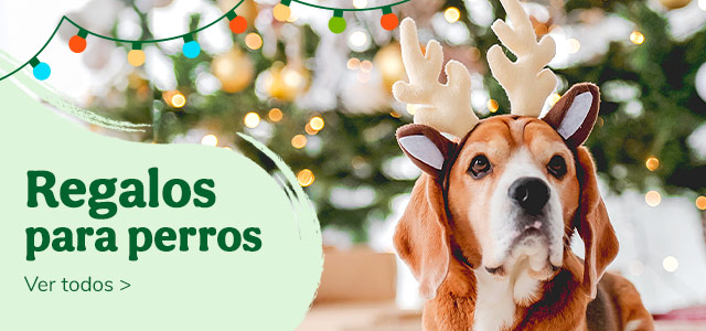 Regalos para perros