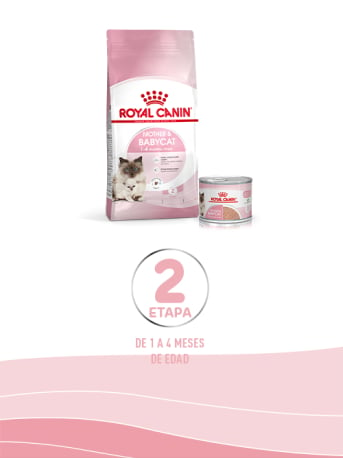 Royal Canin Gatito