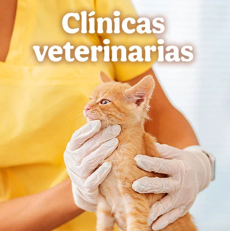 Clinicas veterinarias