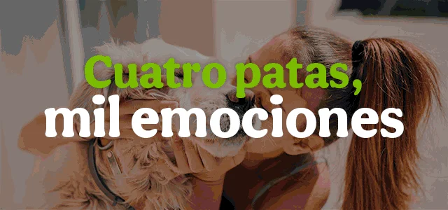 Mes de las colonias felinas