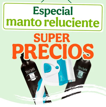Higiene: ¡Champús y cepillería con súper precios!