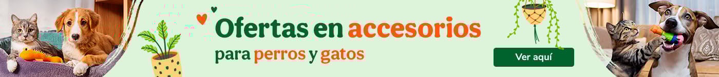 Las mejores ofertas en accesorios