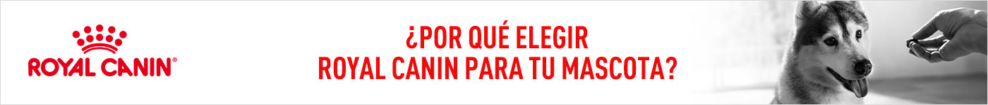 ¿Por qué elegir Royal Canin? Más de 55 años observando científicamente a las mascotas para entender sus necesidades