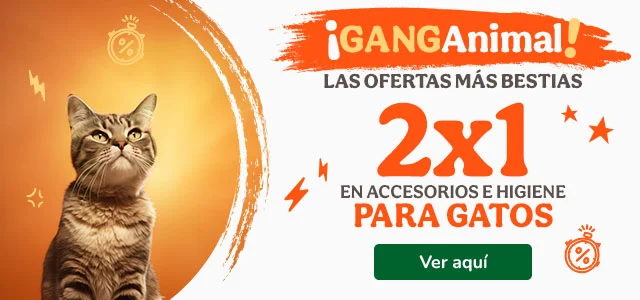 Ganganimal: 2x1 en accesorios e higiene para gatos.
