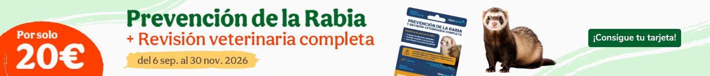 Tarjetas de vacuna contra la rabia para hurones