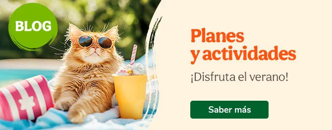 Planes y actividades veraniegas