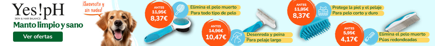 Cepillos y peines con super precio