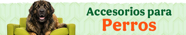 Los mejores accesorios para perro.